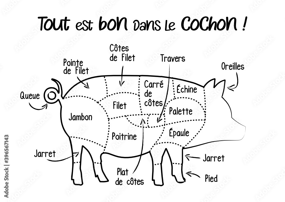Stockvector Le porc, cochon boucherie pièces de viande de porc, schéma découpe du cochon en