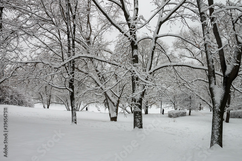 Snow-covered Park. Heavy snow covered people, trees, streets, houses. Snow storm, Blizzard in the city. Huge snowdrifts lie on the road. White snow falls in the Park during the day. Winter landscape