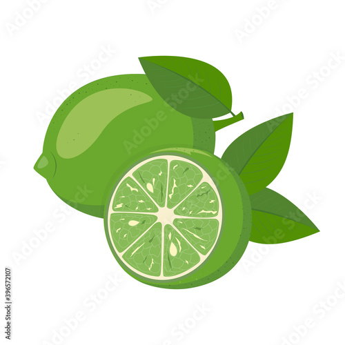 Healthy organic fruit. Fresh juicy green product on a white background. Half a lime. Vector illustration.