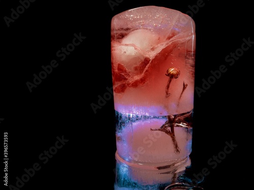 ice swallowed lovely flower in creative and abstract photography