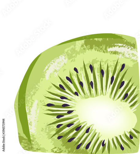 Pastel colored slice of kiwi fruit. Hand drawn art