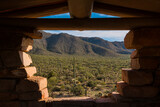 Framed View of Saguaro Cactus Forest in The Tucson Mountain District of Saguaro National Park, Tucson, Arizona, USA
