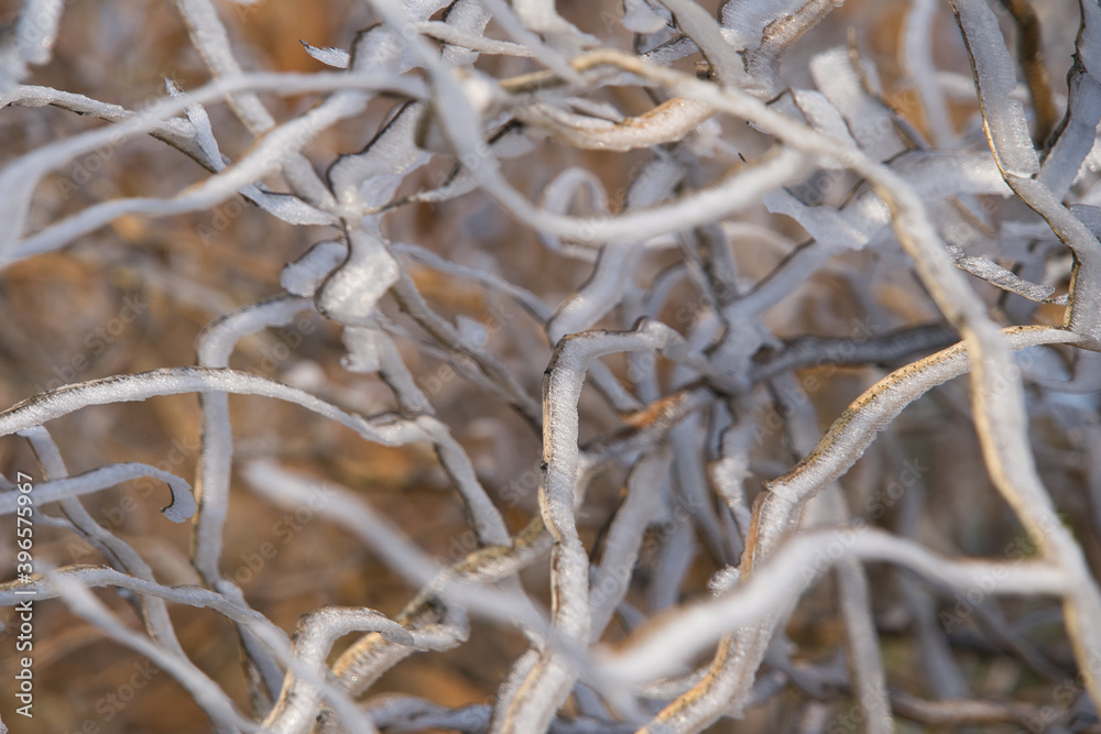 Frostige Winterlandschaft mit Schnee und Eisblumen im Dezember, Postkartenmotiv, Kalenderbild Frostige Winterlandschaft mit Schnee und Eisblumen im Dezember, Postkartenmotiv, Kalenderbild