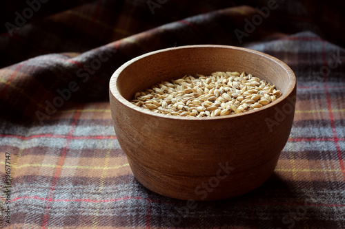 Side on view of a wooden bowl full of malted barley grains, on a tartan table cloth. One of the main ingredients in beer brewing and scotch whisky making. Copy space to left.