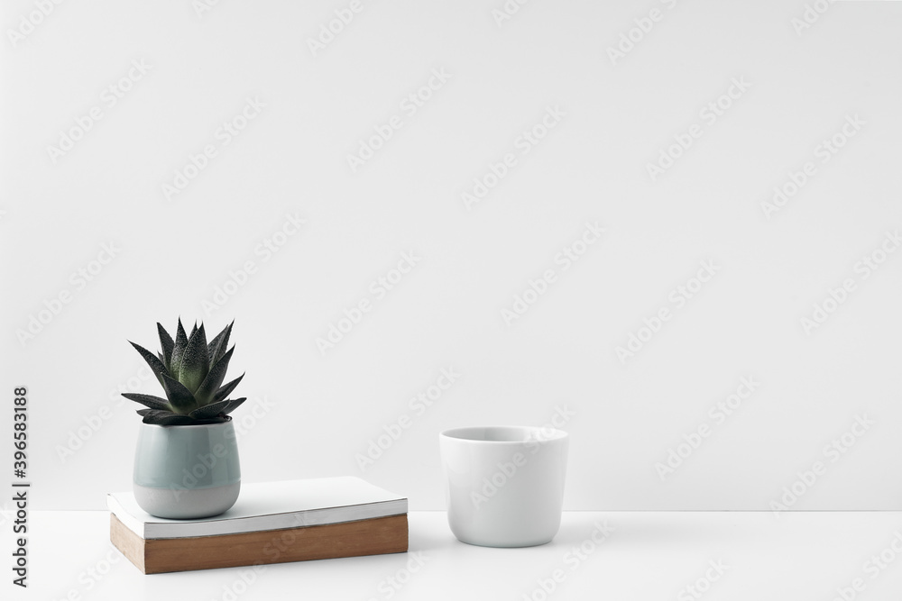Mug and houseplant in a pot on a white background. Eco-friendly materials in the decor of the room, minimalism. Copy space, mock up.