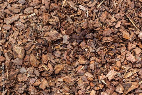 Crushed tree bark texture closeup. Wooden mulch ground's fragment as an abstract background composition. The pieces of tree bark texture like for background. Wood chip from pine trees