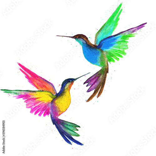 Watercolor Clipart ,Tropical Birds, Hummingbird, Flowers Bright, Birds Clipart, Watercolor, Handmade ,Watercolor ,Clipart ,