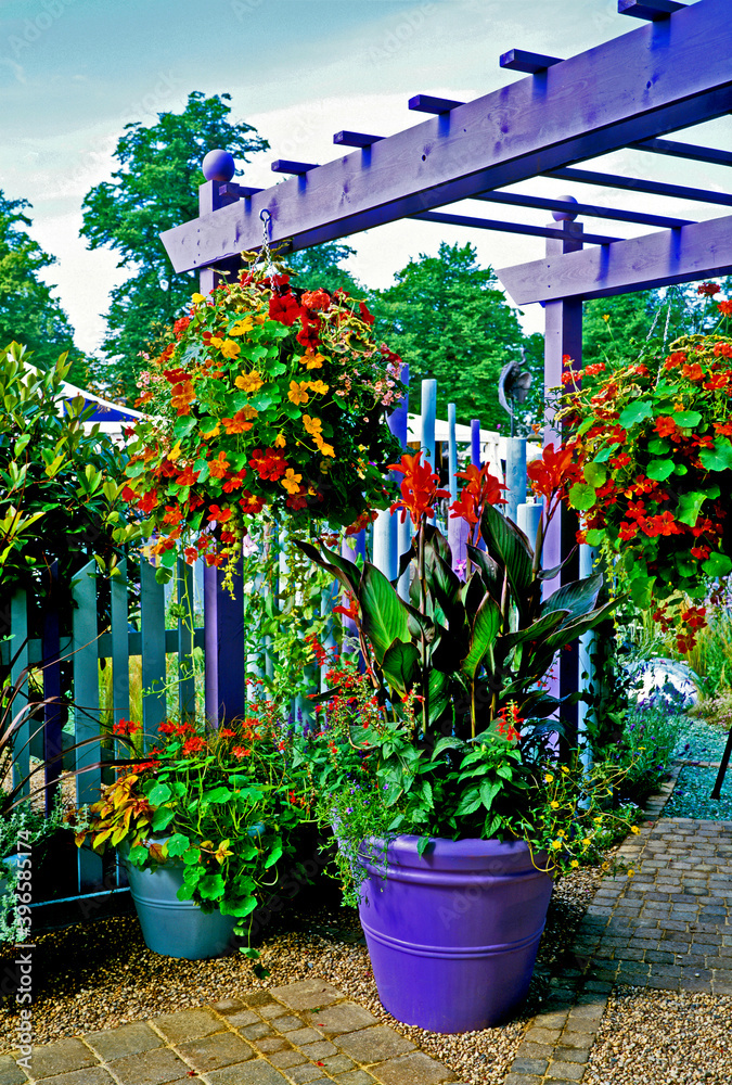 Patio with Containers and Hanging Baskets from a Pergola