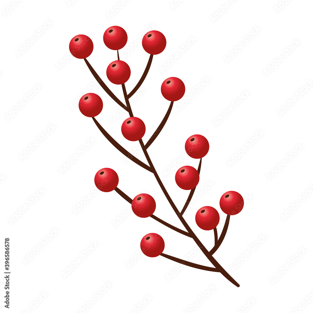 christmas branch and seeds decorative icon vector illustration design christmas branch and seeds decorative icon vector illustration design