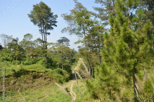 beautiful landscape for tropical mountain