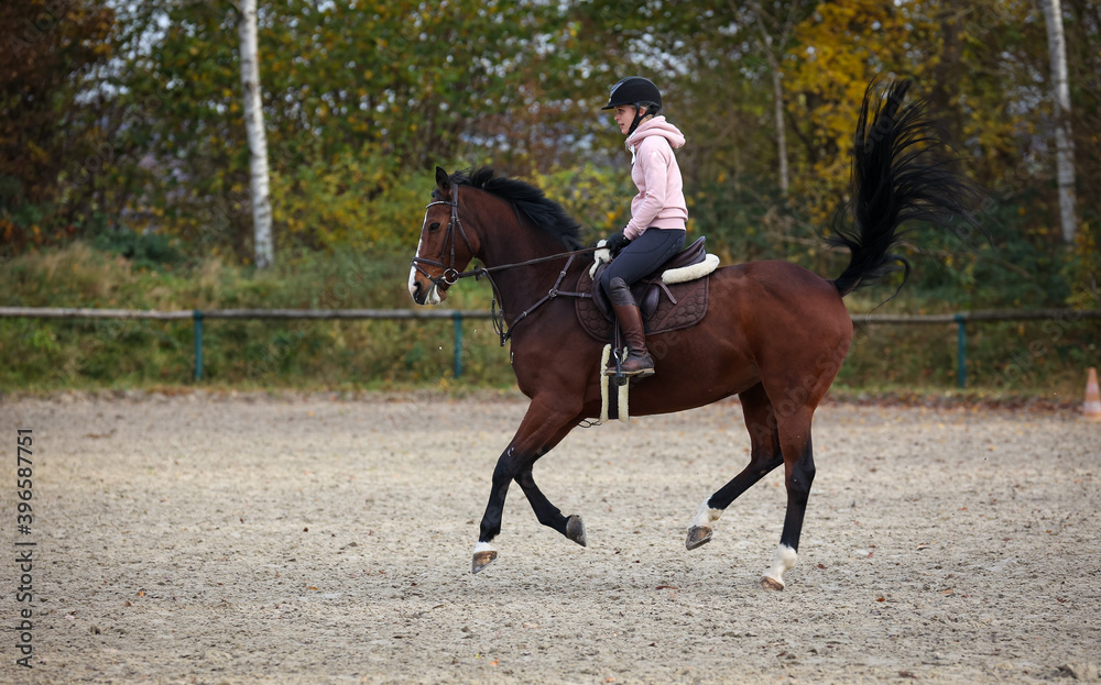 Horse with rider during training, here the change of canter, phase 3 photographed from the side.. Horse with rider during training, here the change of canter, phase 3 photographed from the side..