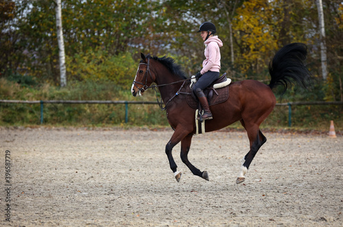 Horse With rider during training, here the change of canter, phase 2, photographed from the side..