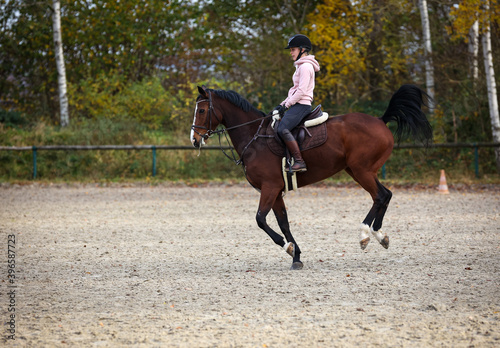 Horse With rider during training, here the change of canter, phase 1 photographed from the side..