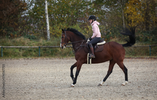 Horse With rider during training, here the change of canter, phase 4 photographed from the side.. © RD-Fotografie
