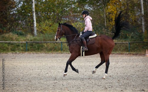 Horse with rider during training, here the change of canter, phase 3 photographed from the side..