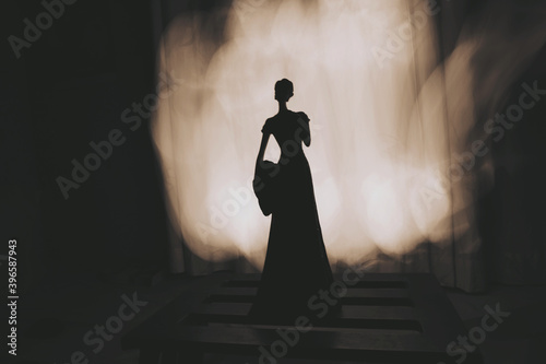 silhouette of a woman or person in a dress very mysterious vintage looking moody photograph with space to write your text