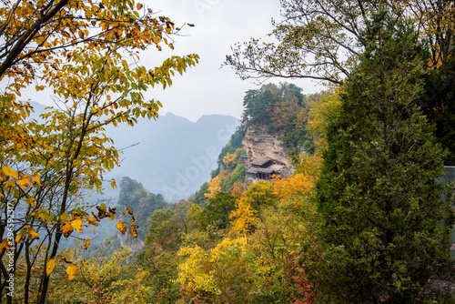 Fototapeta Naklejka Na Ścianę i Meble -  Amazing autumn landscape at Wudang Mountain.