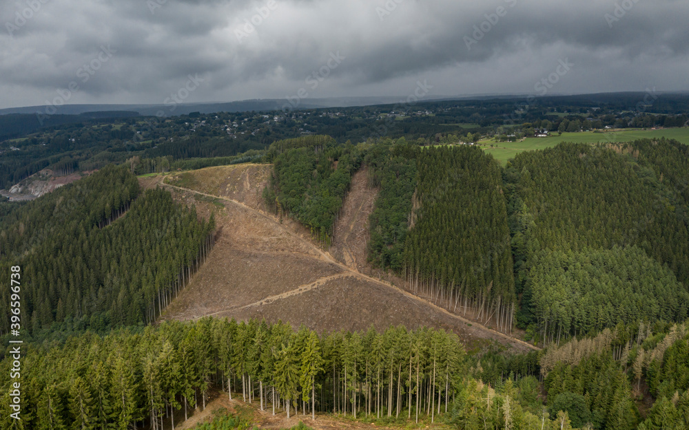 Deforestation on a hill near Malmedy, in Belgium