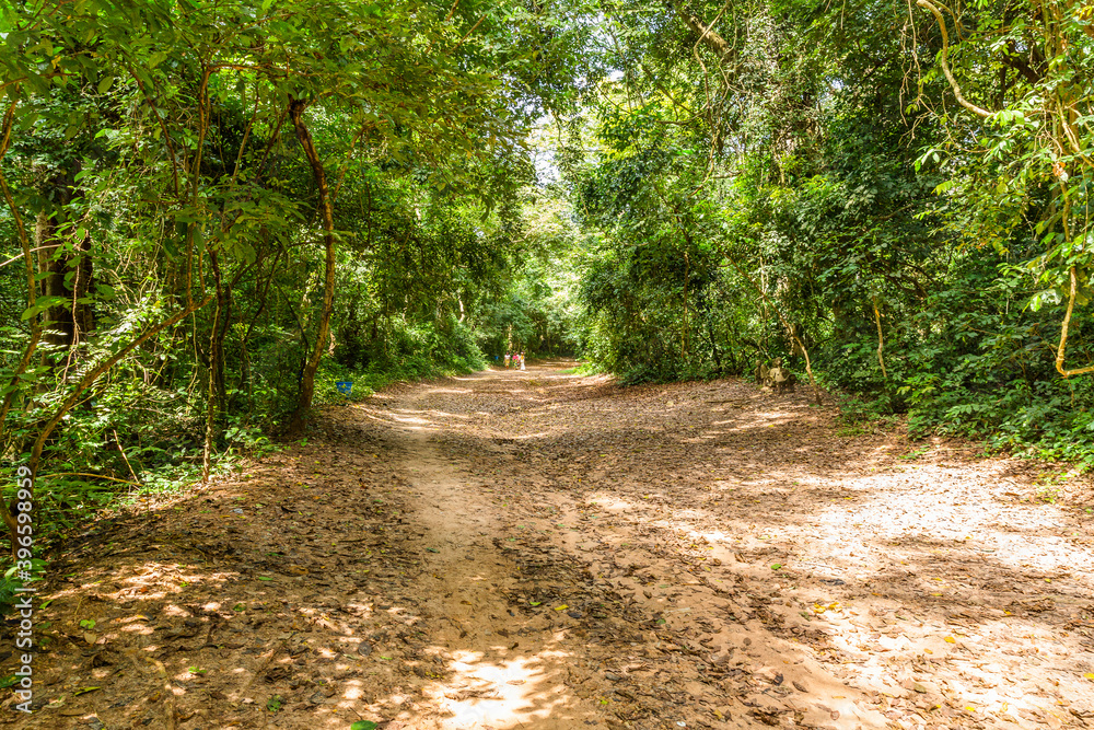 Osun-Osogbo Sacred Grove in Nigeria. A sacred forest along the banks of the Osun river just outside the city of Osogbo in Osun State. Cultural landscape of undisturbed forest
Osun-Osogbo Sacred Grove in Nigeria. A sacred forest along the banks of the Osun river just outside the city of Osogbo in Osun State. Cultural landscape of undisturbed forest