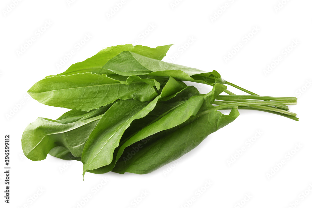 Bunch of fresh green sorrel leaves on white background Bunch of fresh green sorrel leaves on white background
