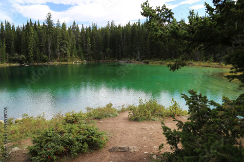 Small mountain lake in Jasper National Park  Canada