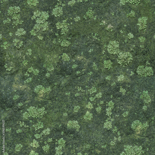 Mossy moss bitmap texture (for landscape designers)