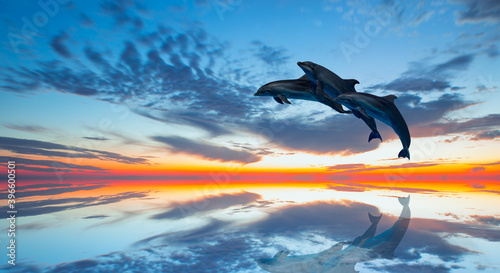 Group of dolphins jumping on the sea wave at sunset 