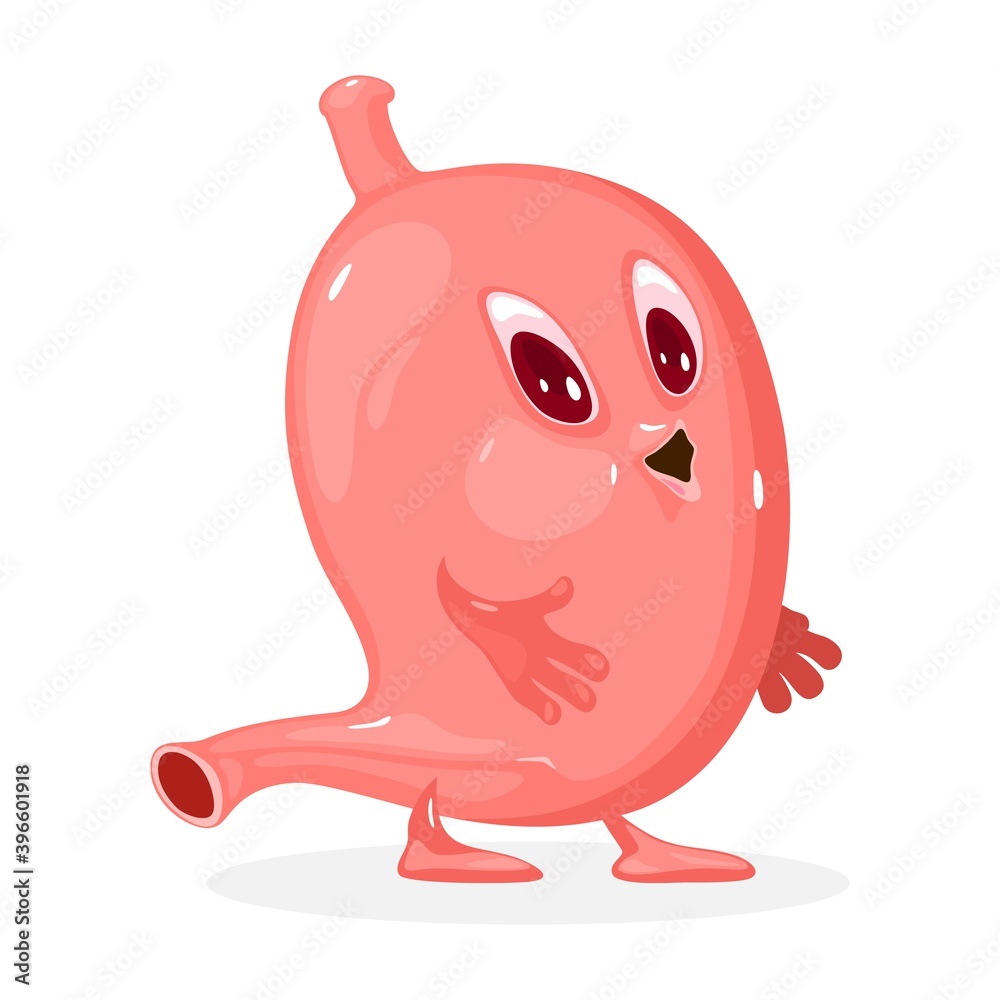 Fototapeta premium Cute human organ in good condition with eyes and mouth. Vector digestive tract and internal organ character. Part of human organism idea isolated on white background