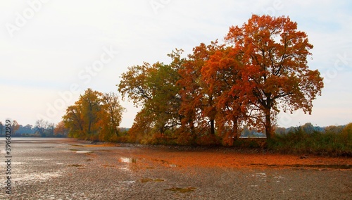 Autumn mood at JIstebnik ponds in Moravia in the Czech Republic. photo