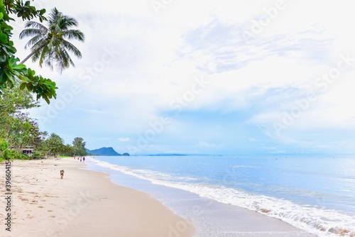 Bild auf Leinwand Coconut Tree and Sandy Beach in Khanom District, Nakhon Si Thammarat, Thailand