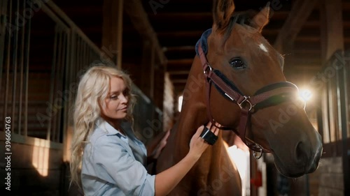 Attractive Slavic blonde cleans the horse's back.