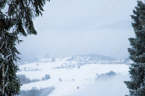 Snow-covered mountain slopes, pine trees in the snow. In the clouds © Ann