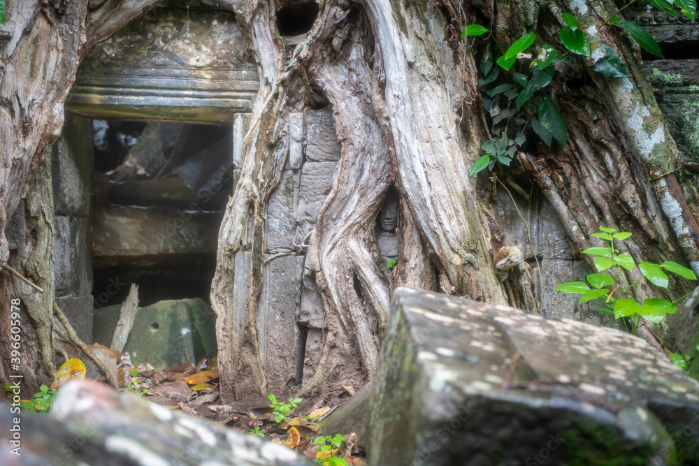 Angkor Wat is the largest temple in the world (Cambodia, 2019). It is raining Angkor Wat is the largest temple in the world (Cambodia, 2019). It is raining