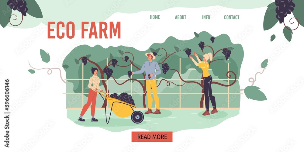 Fototapeta premium Cartoon flat characters harvesting on the farm - ecological,organic,agriculture concept for web online,site design