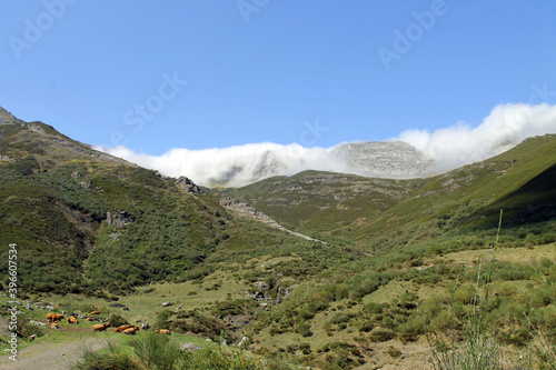 Low clouds penetrate the tops of the Cantabrian Mountains late in the day in summer, northern Spain