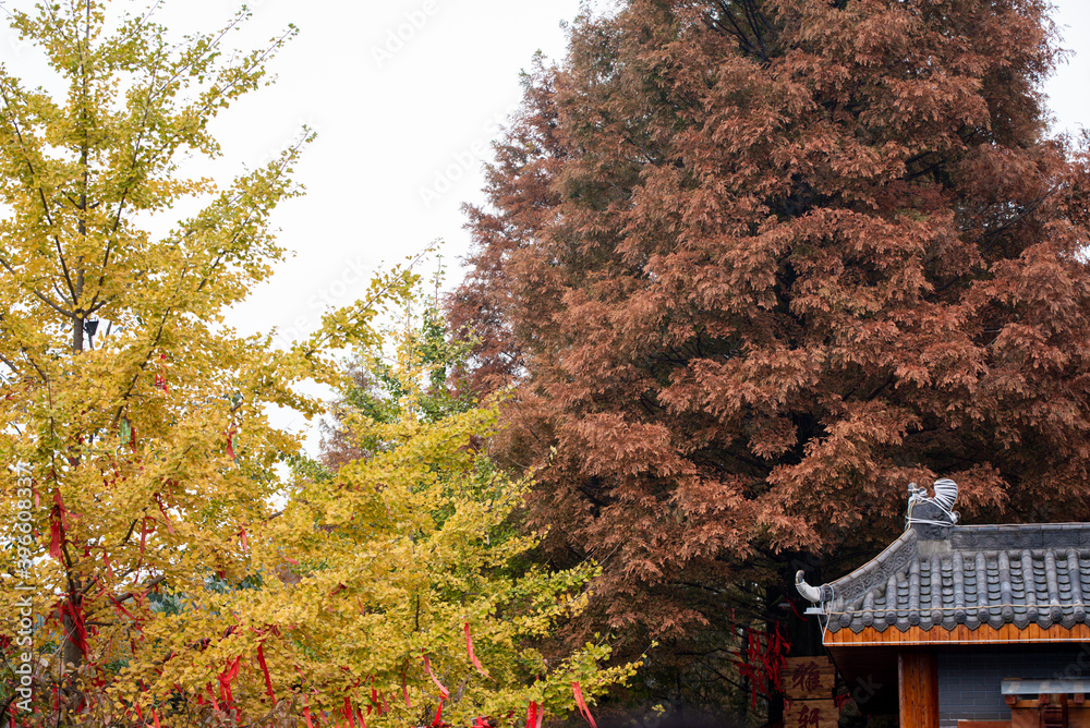 Street view local visitor and tourist Wudang shan Mountains. Street view local visitor and tourist Wudang shan Mountains.