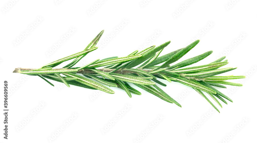 Rosemary isolated on white background, Top view.