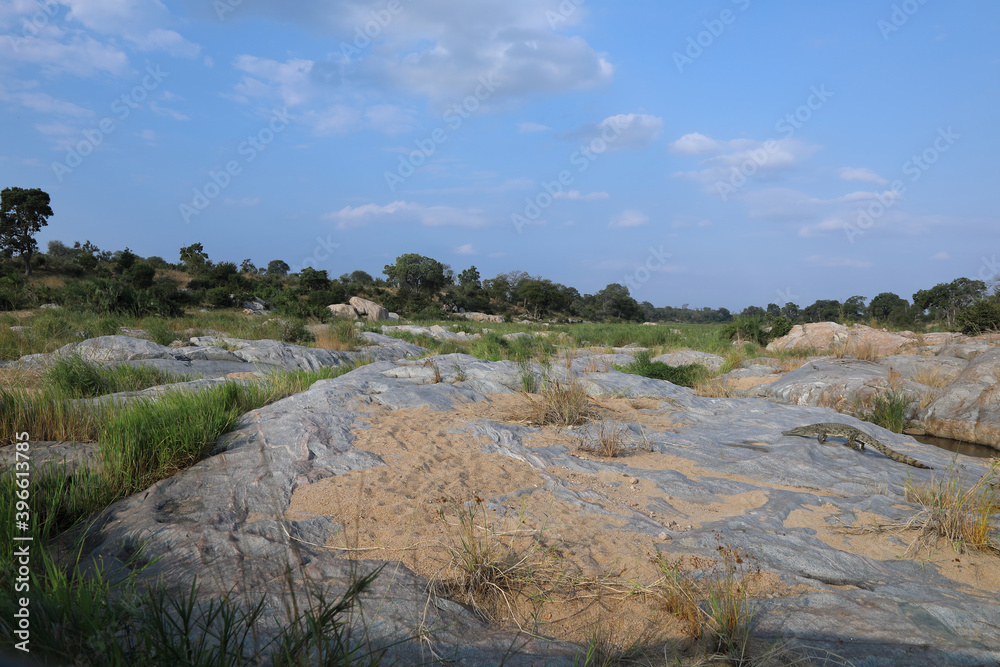 Biyamiti River und Nilkrokodil / Biyamiti River and Nile Crocodile / Crocodylus Niloticus