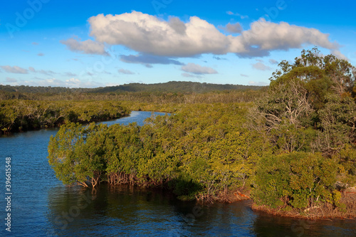 Wanggoolba creek on Fraser Island, Australia