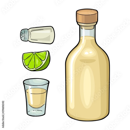 Glass, bottle tequila, salt and lime. Color vector illustration isolated on white