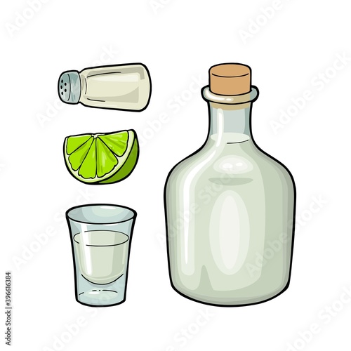 Glass, bottle tequila, salt and lime. Color vector illustration isolated on white