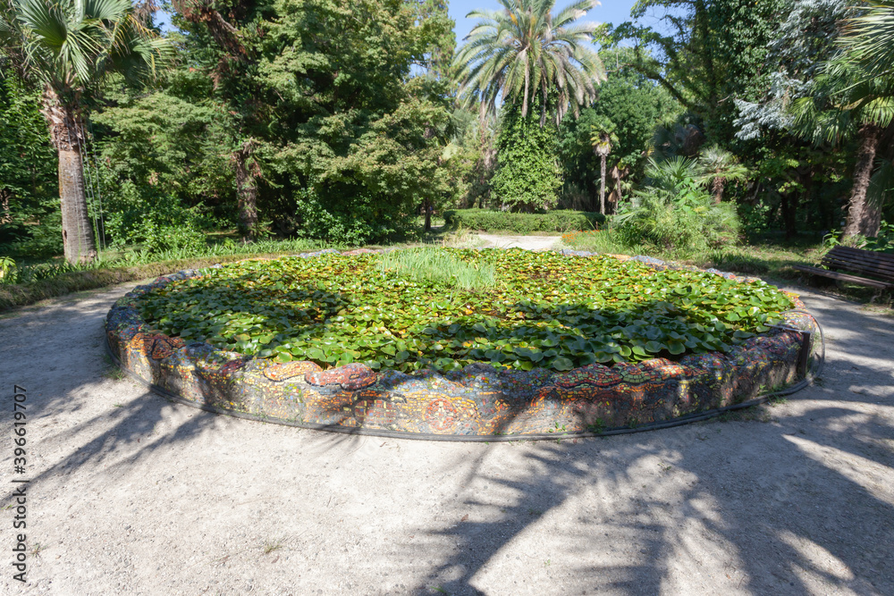 A round pool with lotuses in a tropical park, in the background tropical trees A round pool with lotuses in a tropical park, in the background tropical trees