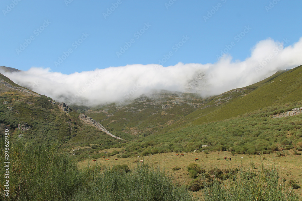 Low clouds penetrate the tops of the Cantabrian Mountains late in the day in summer, northern Spain.