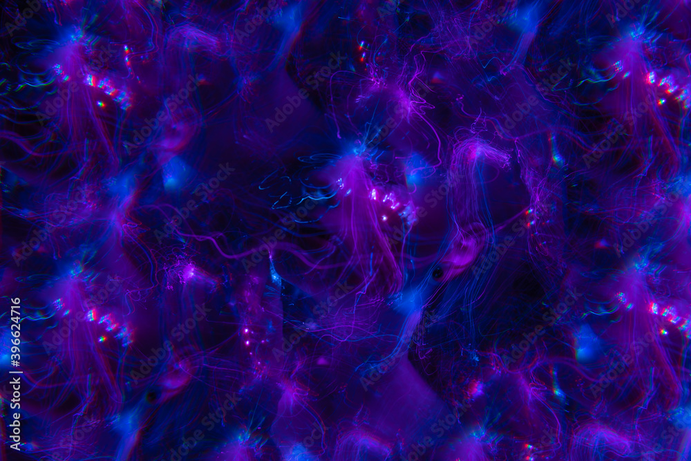 Obraz premium lightpainting portrait, new art direction, long exposure photo without photoshop, light drawing at long exposure