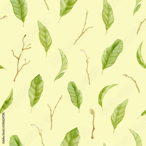 Magnolia watercolor pattern green leaves and.branches on pastel background. © Anastasiia