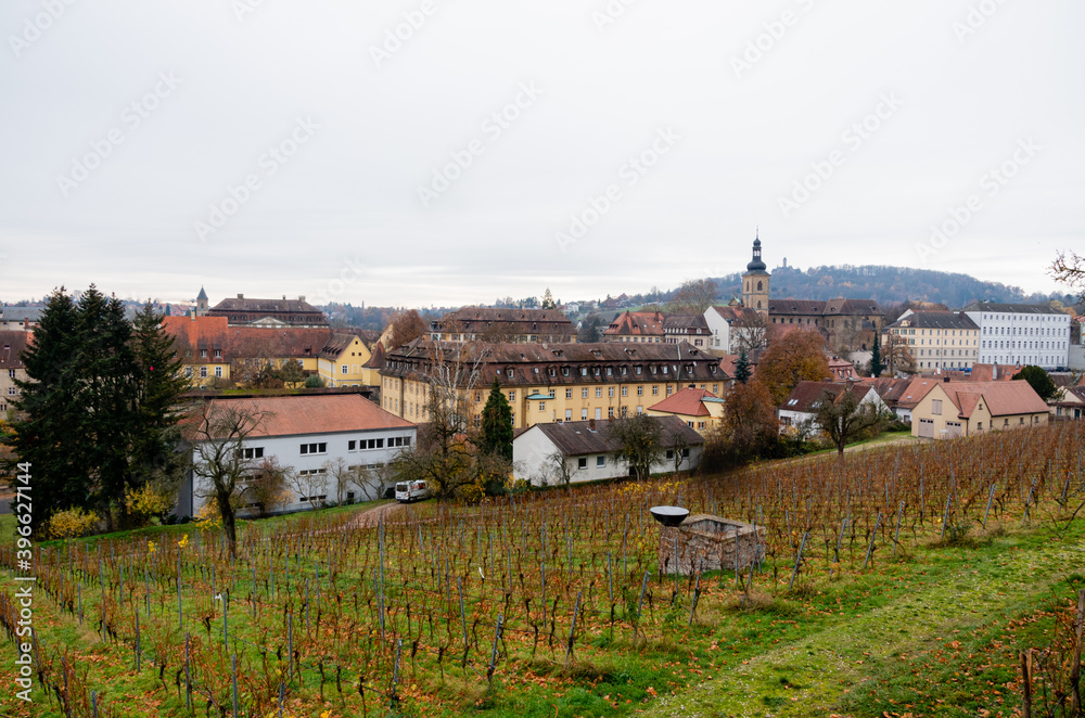 Bamberg, world heritage city in Bavaria, located in upper Franconia, Germany. View from Michaelsberg to the church st. Jakob with the vineyard in the foreground. High quality photo