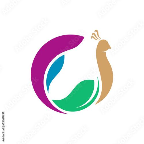 Peacock logo vector template, Creative Peacock logo design concepts, Illustration