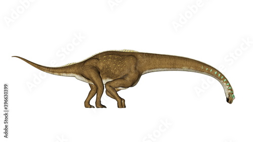 Giraffatitan dinosaur drinking isolated in white background - 3D render