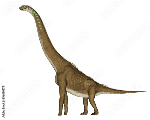Giraffatitan dinosaur walking isolated in white background - 3D render © Elenarts