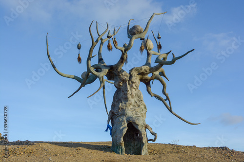 shaman tree